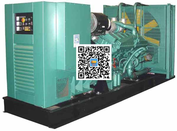 和田笼型异步发电机的电力电子控制技术